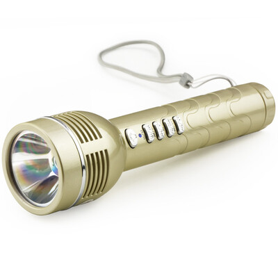 

Happy accompanied by L-538 flashlight card radio mini portable small audio wireless card subwoofer speaker sound card gold