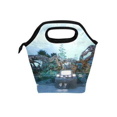 

Insulated Lunch Tote Bag Dinosaur Skeleton Travel Picnic Lunch Handbags Portable Zipper Lunch Bag Box