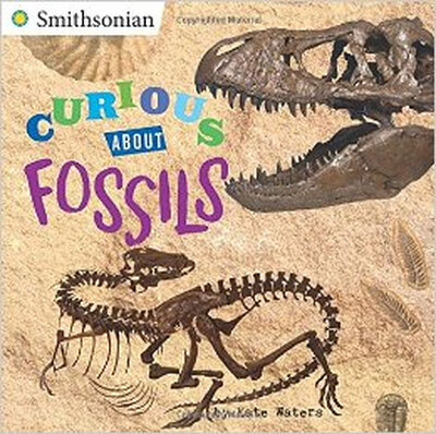 

Curious about Fossils