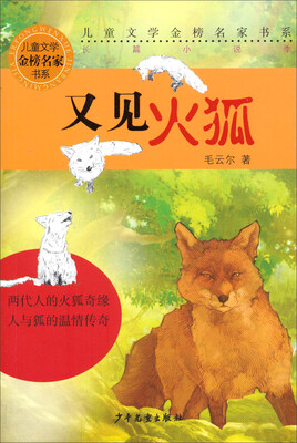 

儿童文学金榜名家书系·长篇小说季：又见火狐