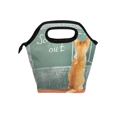 

Insulated Lunch Tote Bag School Cat Travel Picnic Lunch Handbags Portable Zipper Lunch Bag Box