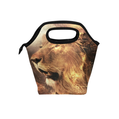 

Insulated Lunch Tote Bag Artistic Lion Travel Picnic Lunch Handbags Portable Zipper Lunch Bag Box