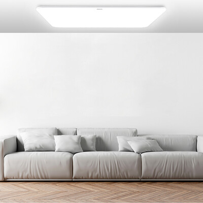 

Philips Zhirui ceiling lamp simple version living room 80W dynamic daylight algorithm Wi-Fi Bluetooth dual mode color brightness stepless adjustment can provide installation services