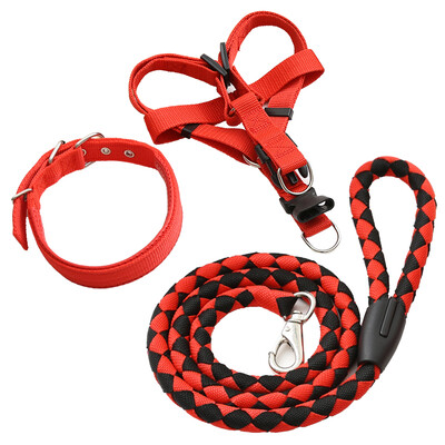 

Parrot dog chain dog rope small dog medium dog large dog pet dog leash dog hyena rope with chest strap collar gold hair Teddy dog chain red black three-piece set L