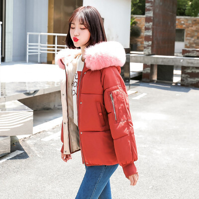 

Big fur collar coat 2018 new short bread dress ladies cotton jacket winter coat 90235