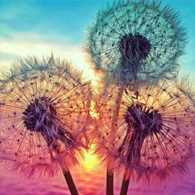 

UpperX 5D DIY Diamond Embroidery Sunset Dandelion Diamond Painting Cross Stitch Rhinestone Home Decoration
