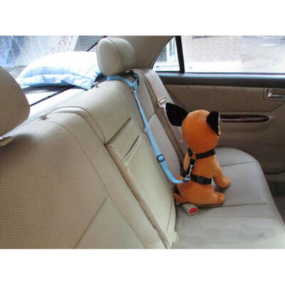 

Car Travel Dog Cat Safe Seat Belt Restreint Lead Harness Collar 4 Colours -SG-UK