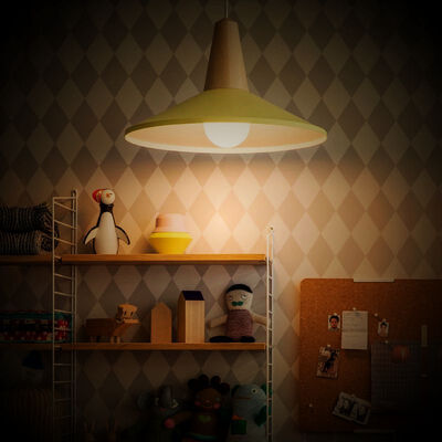 

BOCD003H Nordic Color Chandelier E27 AC 220V