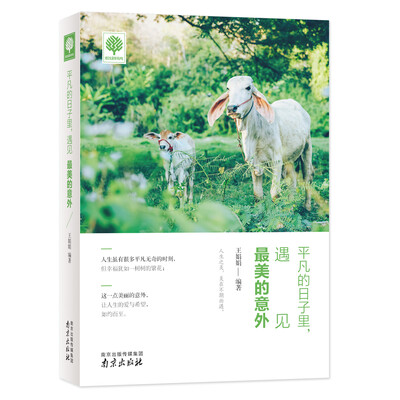 

平凡的日子里，遇见最美的意外