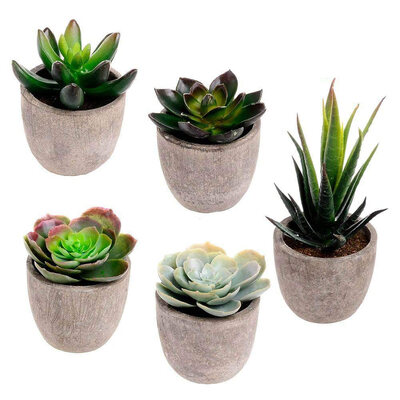 

UpperX Assorted Decorative Faux Succulent Artificial Succulent Cactus Fake Cacti Plants with Gray Pots Set of 5
