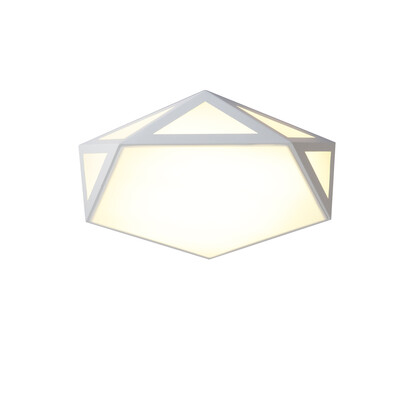 

JX737 - 36W - WW Warm White Ceiling Lamp AC 220V