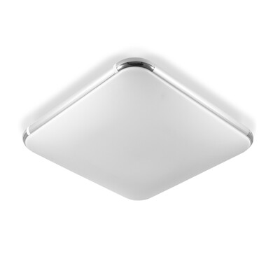 

I506 - 24W - WJ Promise Dimmable Ceiling Light AC 220V