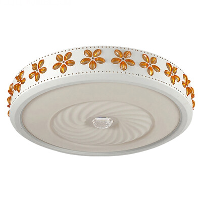 

LED Ceiling lamp ZM1711-1019