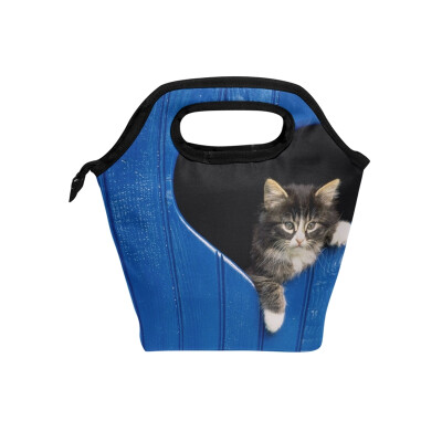 

Lunch Tote Bag Cute Cat Travel Picnic Insulated Lunch Handbags Portable Zipper Lunch Bag Box