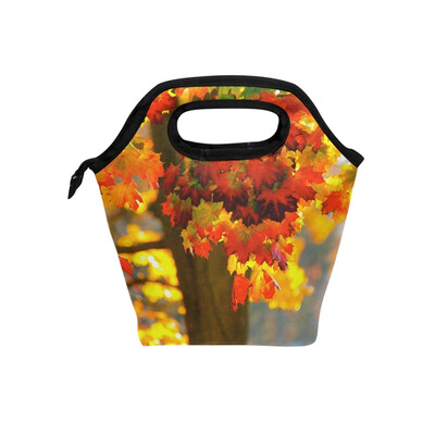 

Lunch Tote Bag Fall Tree Travel Picnic Insulated Lunch Handbags Portable Zipper Lunch Bag Box