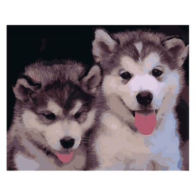 

UpperX Frameless Picture On Wall Painting Abstract Drawing Unique Gift Paint Dogs 40X50Cm