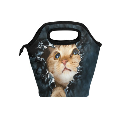 

Lunch Bag Tote Bag Hole Brown Cat Travel Picnic Organizer Lunch Holder Handbags Lunch Bag Box