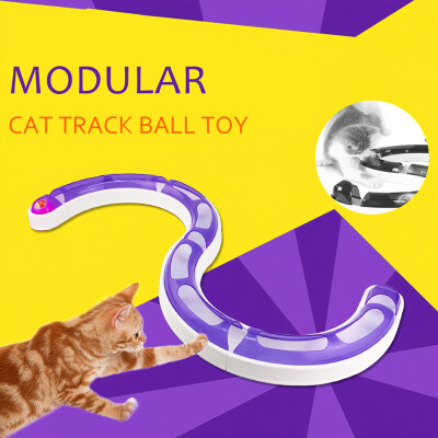 

Cat Track Toy Cat Modular Track Chase Ball Puzzle Game Assemble Plastic Turbo Track Toy for Cat Kitten