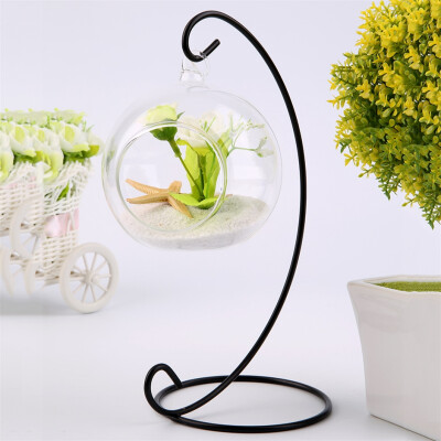 

DIY Hydroponic Plant Flower Hanging Glass Vase Container Home Garden Decor