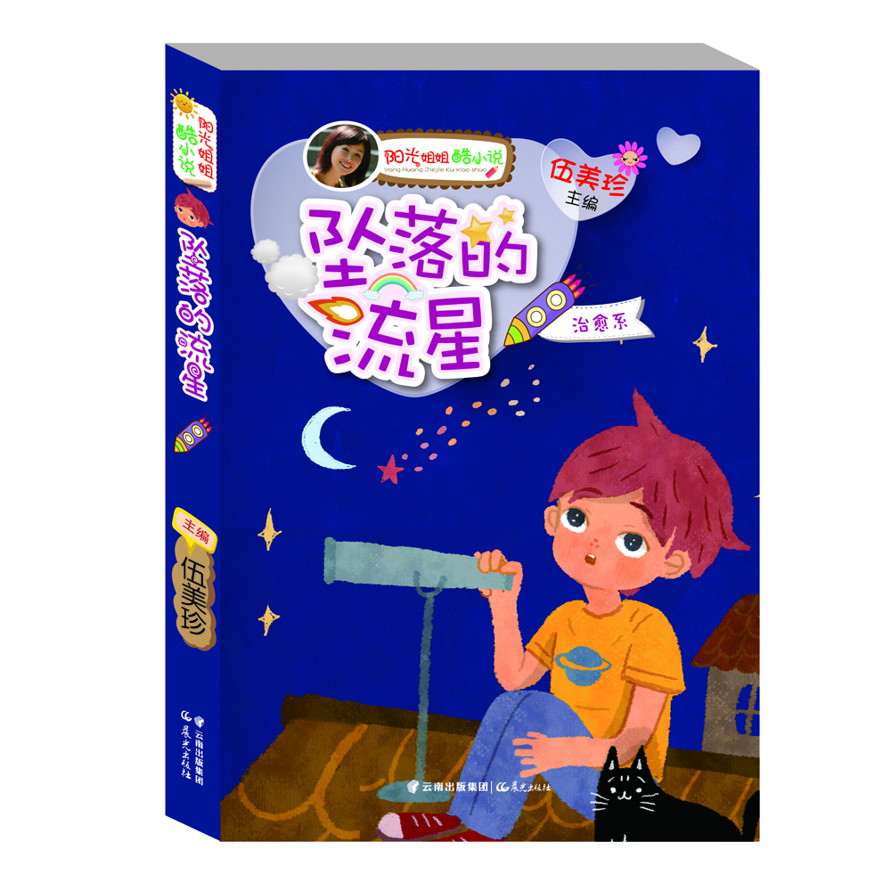 

阳光姐姐酷小说：坠落的流星