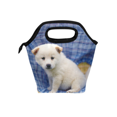 

Insulated Lunch Tote Bag Basket Cat Travel Picnic Lunch Handbags Portable Zipper Lunch Bag Box