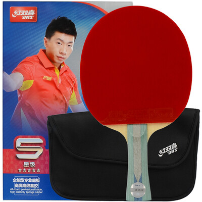 

Double Happiness DHS 2-star table tennis racket double-sided anti-fast attack with the arc beat A2002 single shot (new random hair R2002)