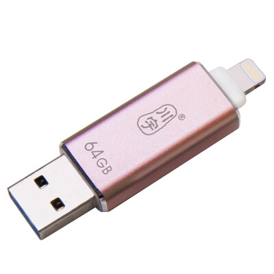

Chuanyu AU616 MFi Certified USB Flash Drive for iPhone/iPad (Rose Gold
