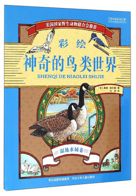 

神奇的鸟类世界（湿地水域卷彩绘）