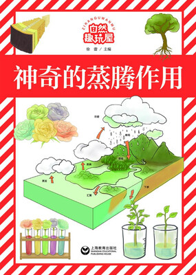 

神奇的蒸腾作用
