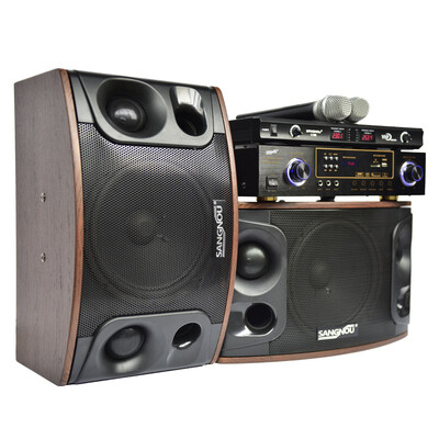 

Double Connaught SA6201 home theater KTV card box professional card package audio speakers set TV sound