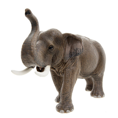

Силе Schleich немецкий бренд детские игрушки, ручной краски цвета моделирования дикой природы животные модели - мужчины Азиатский слон (старые и новые смешанные волосы) SCHC14754