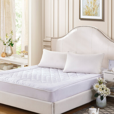 

LUOLAI comfy 2 person bed mattress pad