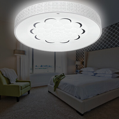 

TCL LED ceiling lamp snow hibiscus 24W white light iron living room study bedroom restaurant office lighting lamp round 420 420mm