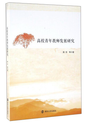 

高校青年教师发展研究