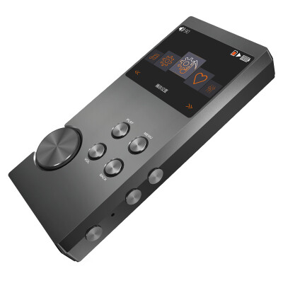 

GOCOOL P3000 64GB HIFI mp3 спортивный плеер DSD с экраном