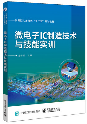 

微电子IC制造技术与技能实训