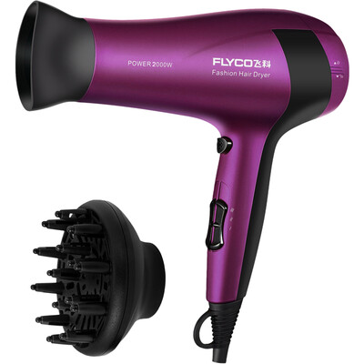 

FLYCO FH6618 Professional Anion Hair Dryer 2000W