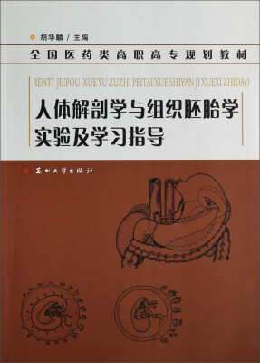 

人体解剖学与组织胚胎学实验及学习指导/全国医药类高职高专规划教材