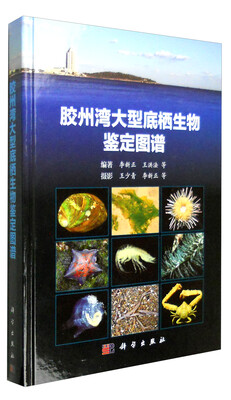 

胶州湾大型底栖生物鉴定图谱