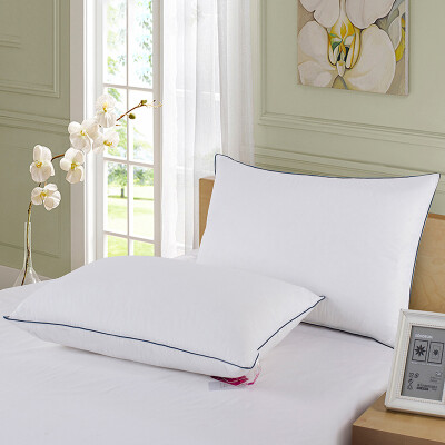 

SHEONE duck down feather velvet pillow 48*74cm