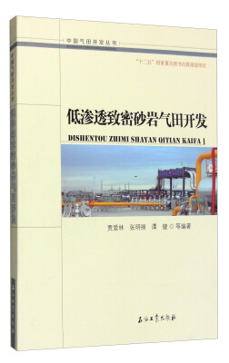 

中国气田开发丛书：低渗透致密砂岩气田开发