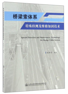 

桥梁索体系特殊检测及维修加固技术