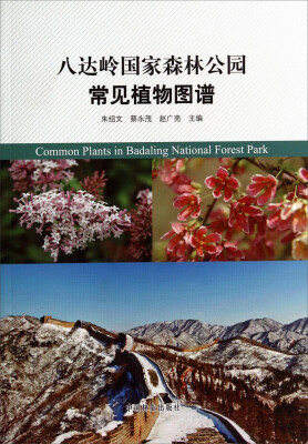 

八达岭国家森林公园常见植物图谱