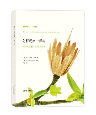 

怎样观察一棵树