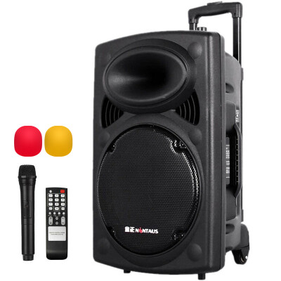 

NINTAUS SM-982 portable mobile outdoor audio high power battery card square dance speaker with microphone black