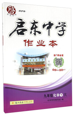 

启东中学作业本：化学（九年级下 R）