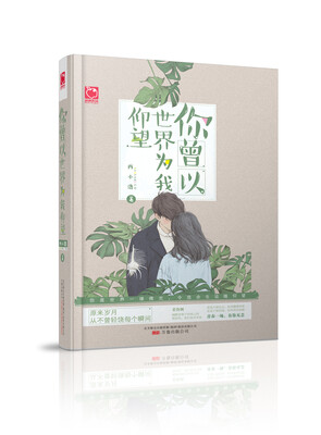 

你曾以世界为我仰望