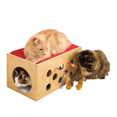 

США SmartCat электрические образовательные игрушки, чтобы развлечь кошку чеканки мыши чеканки кошки музыки моляров мелющих арестовал животное игрушку кошки 3702