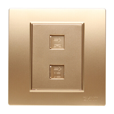 

Zhengtai (CHNT) socket panel switch socket computer + TV socket champagne gold 7L series NEW7-L21202
