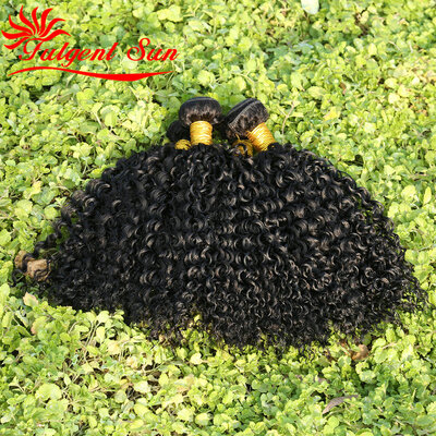 

Good Quality 7A Unprocessed Brazilian Kinky Curly Virgin Human Hair 3Bundles Weave Top Selling Virgin Brazilian Kinky Curly Hair